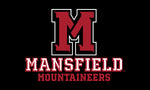 3' x 5' FLAG MANSFIELD MOUNTAINEERS